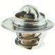 Genuine Duralast Engine Coolant Thermostat 15789 4789 01741W FAST SHIP C12