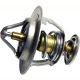 New Thermostat Fits 2015-2017 Mitsubishi Outlander 4-Door MD194988 SPL010481