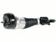 BILSTEIN B4 Air Suspension Strut 2223202200 Mercedes S550 S560 S450