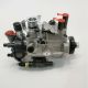 DP210 Fuel Injection Pump For DELPHI Perkins CAT JCB Engine 8923A053G 8923A051G-