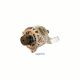 Alternator 11115N
