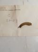 NOS CARTER WCD 30-23 BRASS SCREEN FOR INSIDE CHOKE ASSEMBLY Qty 1