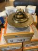 Thermostat 195 degrees,  B709 Temp Guard by Amgauge NOS