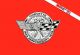 Corvette C3 25th anniversary decal X1 vinyl adesivi autocollants 