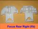 Ford Focus Window Regulator Repair Clip REAR Right - WITH Glass Peg Dowel