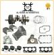 Jaguar & Land Rover 3.0 D 306DT TDV6 Vilebrequin+Roulement+Piston + Bague