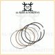 LAND ROVER DISCOVERY L462 2.0 DIESEL 204DTA CRANKSHAFT+BEARINGS+RING+REBUILT KIT