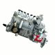 Fuel Injection Pump 4063844 Fits Cummins 6BT 5.9L Komatsu PC200-7 Diesel Engine
