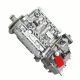 0402066741 3926881 Fuel Injection Pump For Cummins 6D114 6CT8.3 Engine Fuel Pump