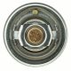 Cst 244 192 Thermostat