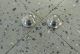 2005-08 300 Charger Magnum V6 V8 Radiator Overflow Bottle Bolt Chrome Cover Caps