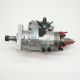 Fuel Injection Pump RE64241 For John Deere 6068 CD4045DF 045T 2.9L Engine
