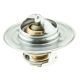 Cst 300 195 Thermostat