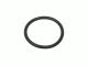 For 1994-1995 BMW 530i Automatic Transmission Filter O-Ring 59555YZ
