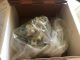 GENUINE CUMMINS 4929594NX INJECTION FUEL PUMP BOSCH OEM - NEW in Box