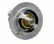 Engine Coolant Thermostat