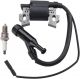 GX160 Ignition Coil for Honda Gx110 Gx120 Replace 30500-ZE1-033 30500-ZE1-063