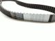 14400 PTO 004 187 Contitech Engine Timing Belt Made In Germany TB187