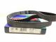 CD-193 Automotive Timing Belt Free Shipping Free Returns CD-193