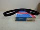 94161/95144 Cloyes Timing Belt Free Shipping Free Returns B144