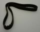 16806-16A00 CRP Automotive Engine Timing Belt 097 Automotive Engine Timing Belt