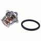71CCThermostat 25-39236-01 for CarrierCT 3.69 4.91 4.134 ThermoKing TK 4.82 4.86