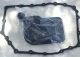 Transmission Fluid Filter Kit & gasket Fits Chevy Silverado GMC 6L80 6L90 6L50