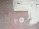 Focus Lincoln Jaguar Window Regulator Rear peg/dowel - free shipping from MI