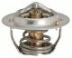 Engine Coolant Thermostat-OE Type Thermostat STANT 14177