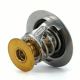 Engine Coolant Thermostat ?655-190 for Ford? F-150 Expedition Transit Lincoln