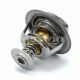 Coolant Thermostat ?for Buick Century Regal Riviera Chevry Cadillac 3.4 3.5 8.1L