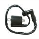Ignition Coil For 110 125 150 200cc 250cc ATV Moped Go Kart Quad Chinese Bike