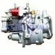 Fuel Injection Pump 3883776 3021989 For Cummins QSK19 KTA19 NT855 M11 Engine