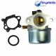 Carburetor Carb 799868 498254 497347 497314 Fit For BS 50-657