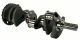 OVERSTOCK CALLIES MAGNUM 4.00