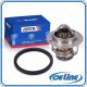 Coolant Thermostat for 2002-2016 Nissan Altima Frontier Infiniti G20 QX60 2.5L