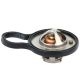 Engine Coolant Thermostat for 2001-2010 Dodge Avenger 2.7L V6