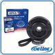 Harmonic Balancer & Serpentine Belt Kit for 2003-2005 Honda Civic 1.7L SOHC