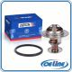 For 01-21 Chevy Silverado 2500 Express 3500 GMC Sierra Savana Coolant Thermostat