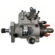 Stanadyne Injection Pump Fits Cummins Diesel Engine DB4429-6016 504256507)
