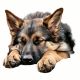 2X Cute Sleeping Dog Car Sticker Dog Sticker