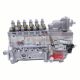 Fuel Injection Pump 3975927 3977571 For Cummins Engine 6CT8.3-C300 6BT5.9-C155
