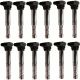 Set of 12 Ignition Coils for VW Audi A8 Quattro Volkswagen Phaeton Passat 02-04