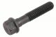 Genuine General Motors OE Bolt/Screw-O/Pmp 10046007