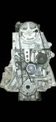 1996-2000 Honda Civic & Civic Del Sol With 1.6L L4 D16Y7 NEW Engine
