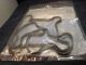 GASKET 1) Valve Cover NEW GM 10162177 Cutlass Grand Prix Monte Lumina 3.4L C5