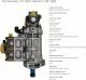 Fuel Injection Pump 317-8021 10R-7660 For CAT C6.6 Engine 320D 323D Excavator