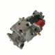 Fuel Injection Pump 3655223 For Cummins NT855-M Diesel Pump