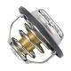 Engine Coolant Thermostat Housing Assembly For Chevrolet Equinox Fit GMC Terrain