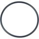 x2) New Genuine Honda-Acura O-Ring 48-5X2-4) 91301P8AA00 / 91301-P8A-A00 OEM